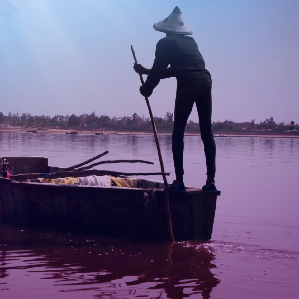 The Pink Lake